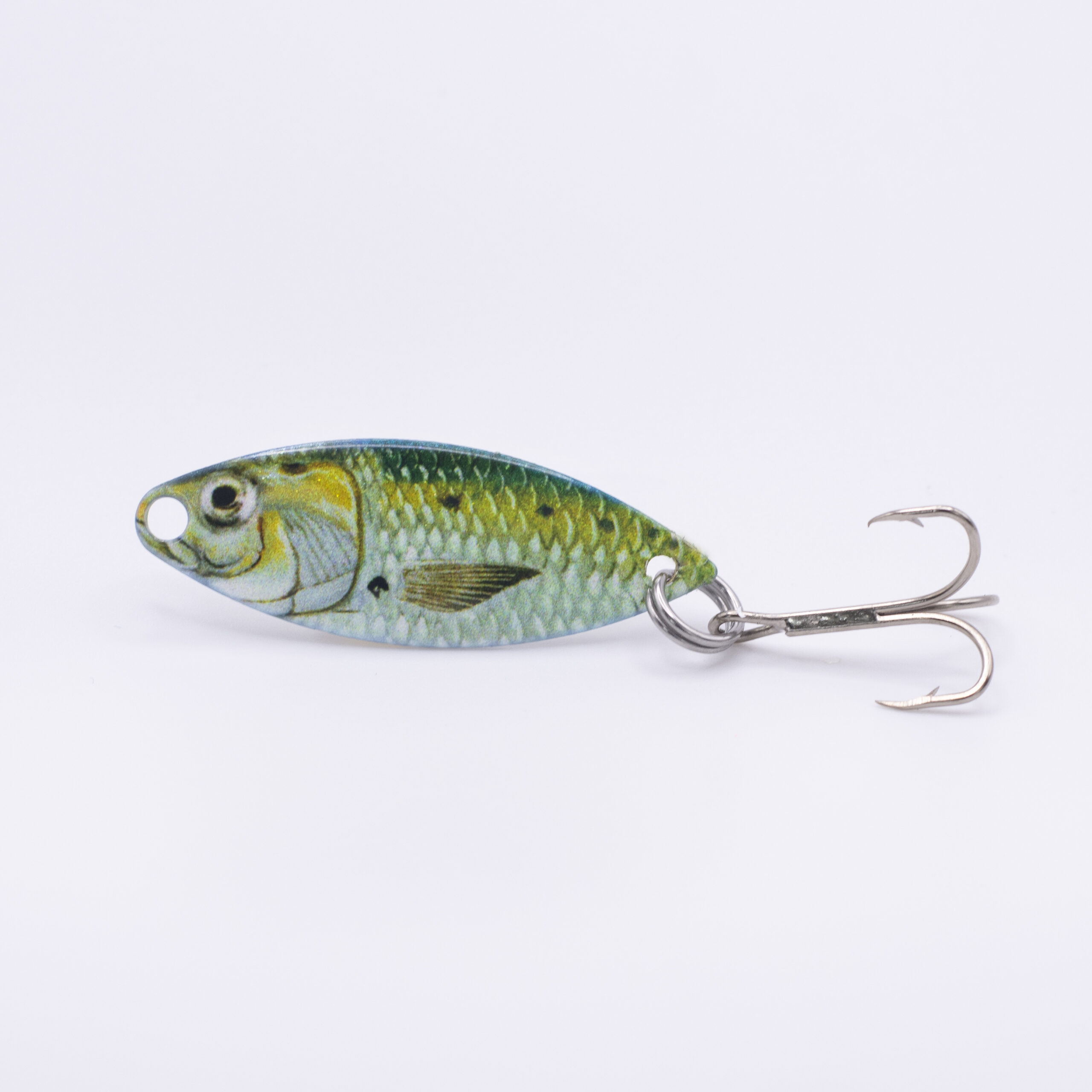 Front of Shad Sm Trolling