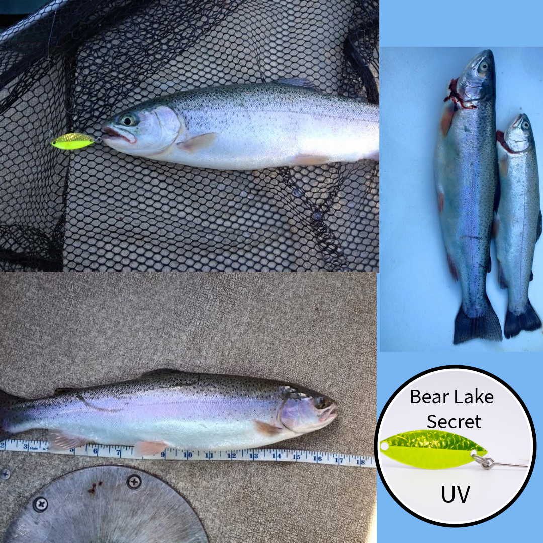 Deer Creek Special Catch