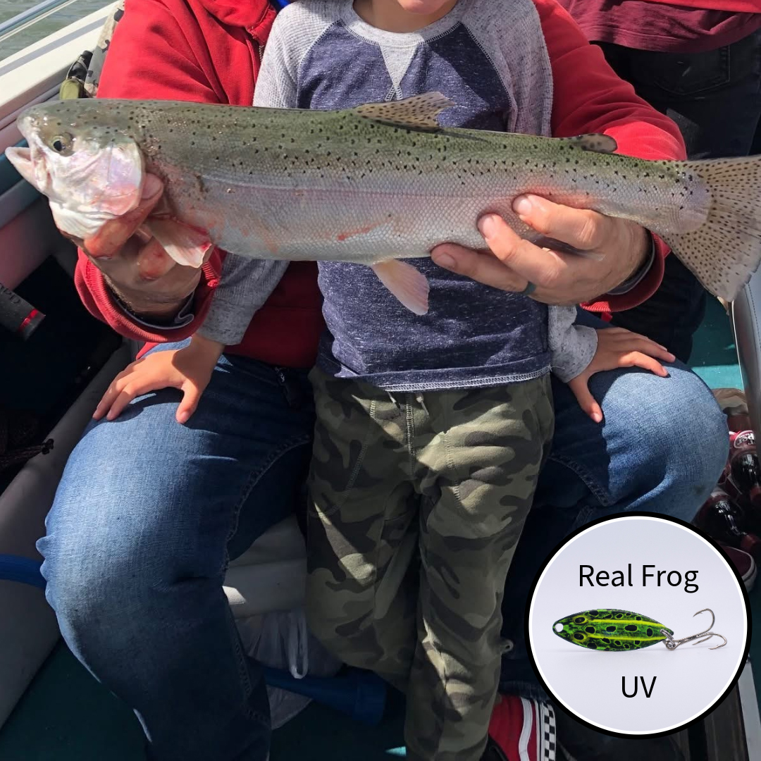 Green Frog Catch