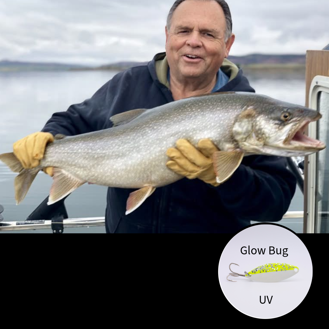 Caught on the Glow Bug